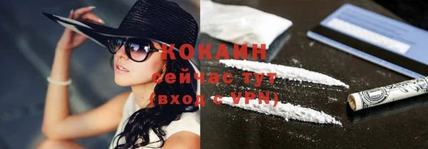 соль ск Липки