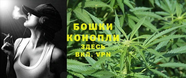 соль ск Липки