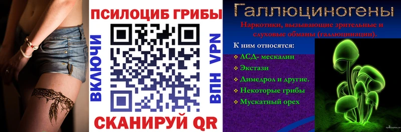 Псилоцибиновые грибы Psilocybe  закладки  Янаул 