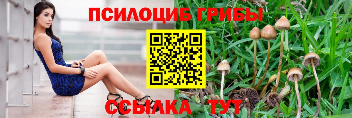 Янаул  Галлюциногенные грибы Cubensis  Псилоцибиновые грибы Psilocybe  Вход с VPN 